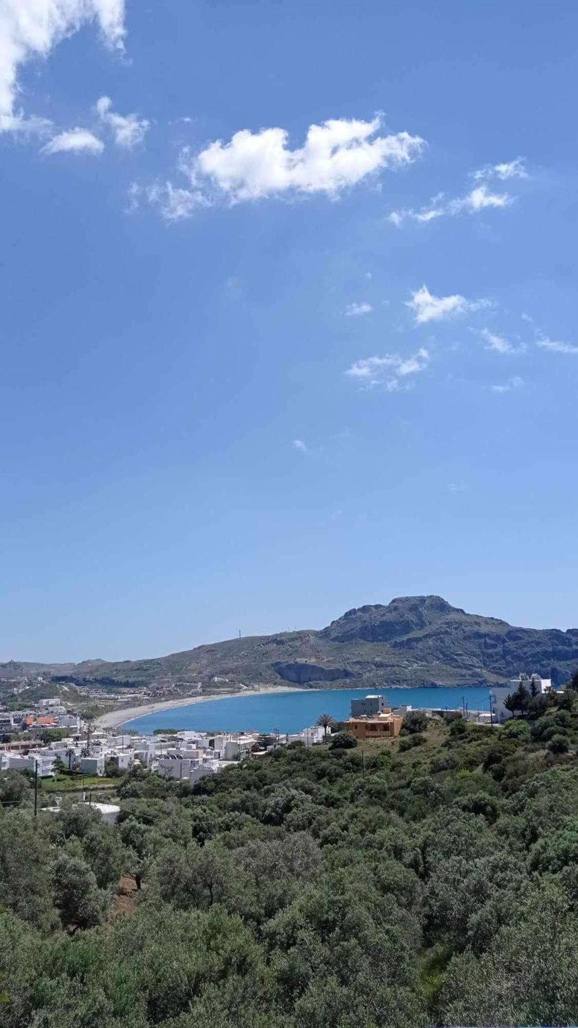 Olive Grove Apartment Плакиас Екстериор снимка