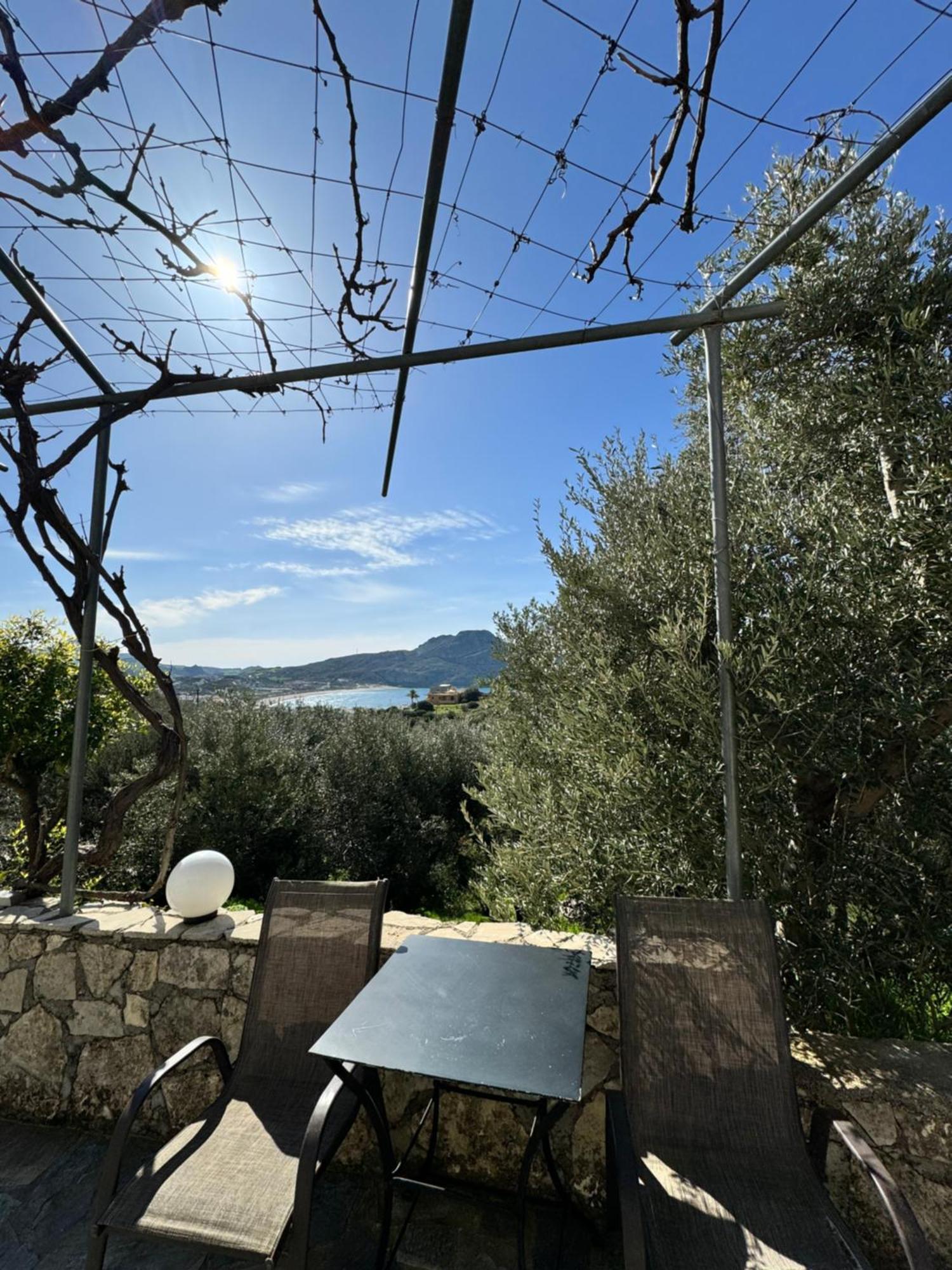 Olive Grove Apartment Плакиас Екстериор снимка