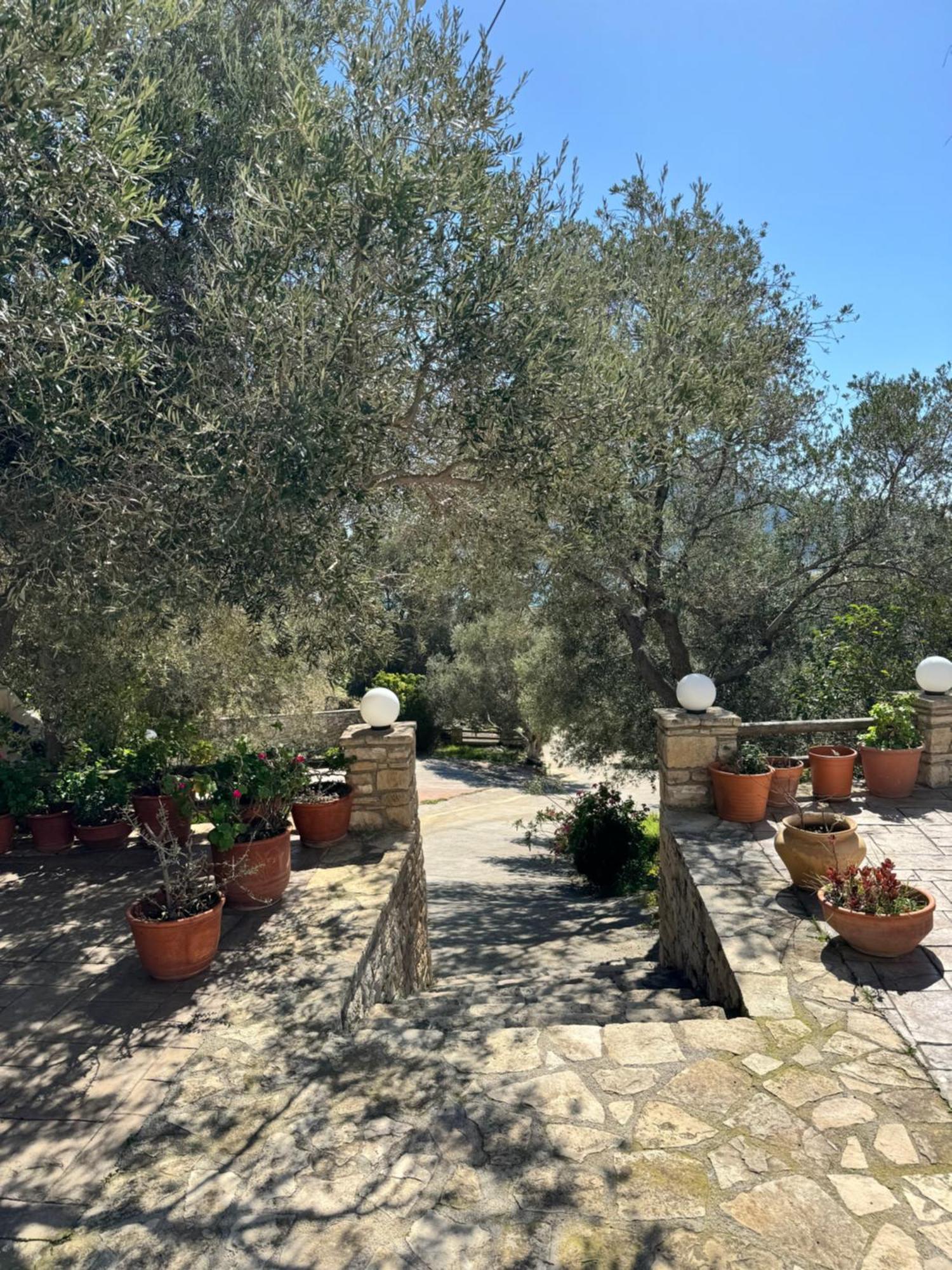 Olive Grove Apartment Плакиас Екстериор снимка