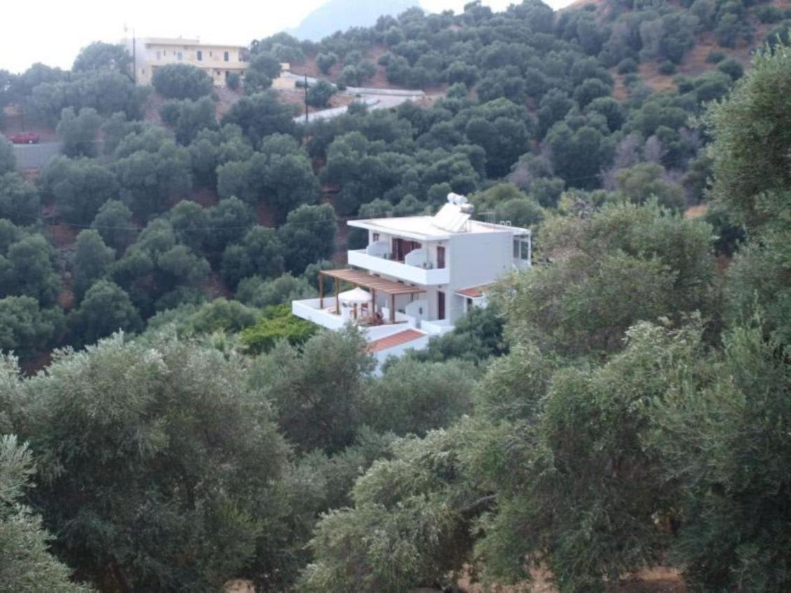 Olive Grove Apartment Плакиас Екстериор снимка