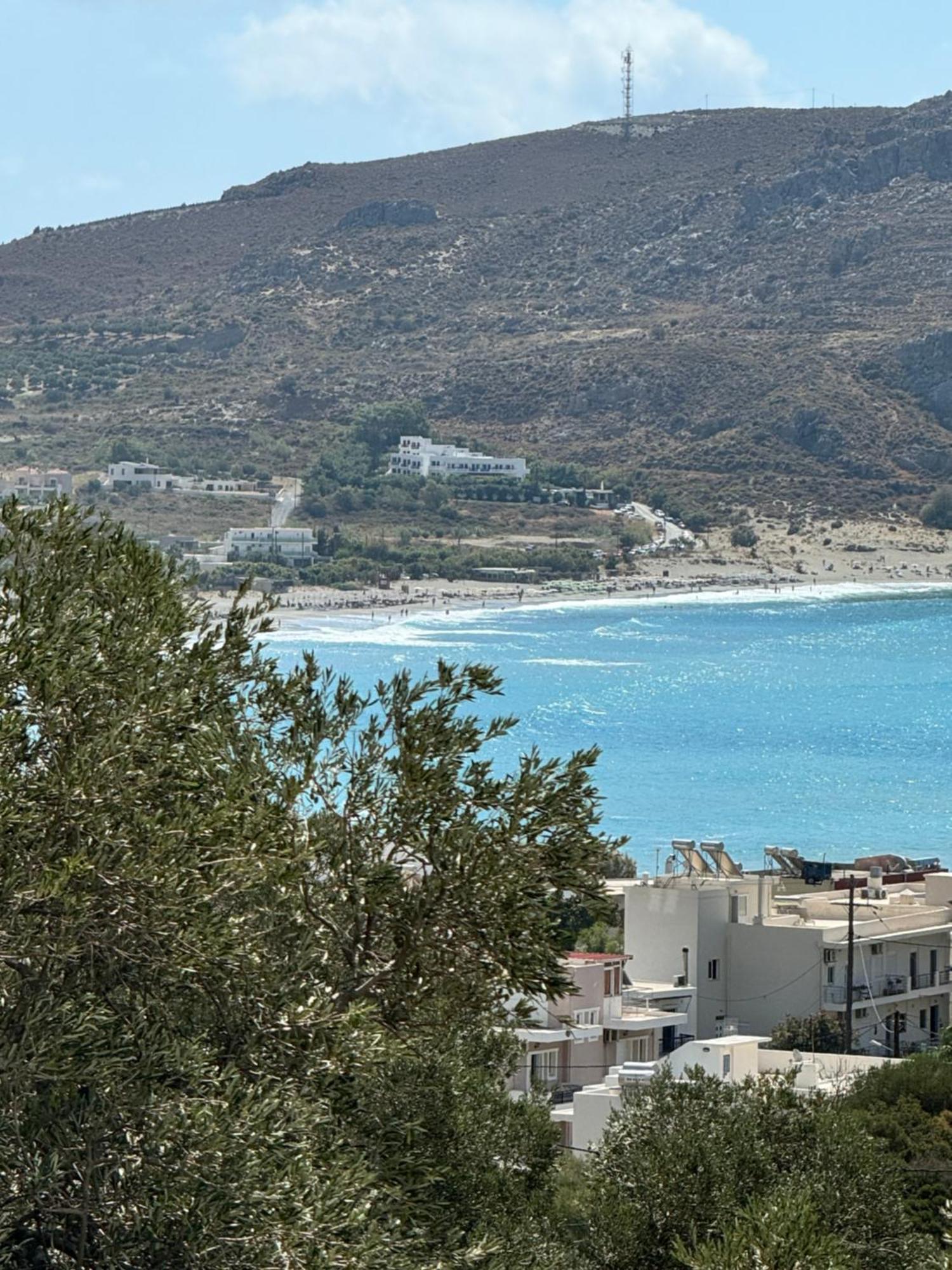 Olive Grove Apartment Плакиас Екстериор снимка